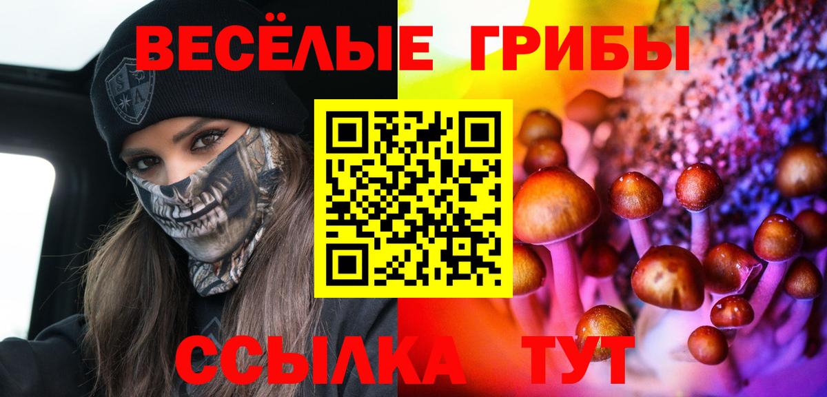где продают   Вход с VPN  Нефтеюганск  Псилоцибиновые грибы мицелий 