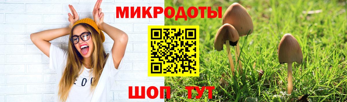 Псилоцибиновые грибы GOLDEN TEACHER Нефтеюганск
